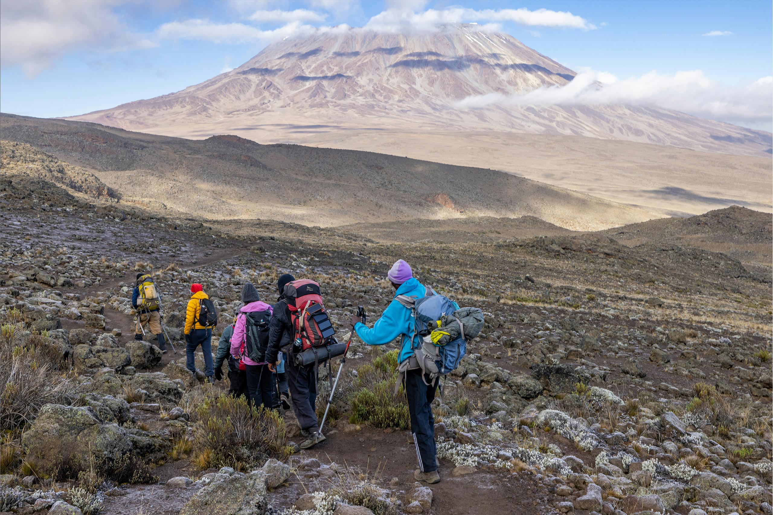 Climbing Kilimanjaro tour & Tanzania Safari